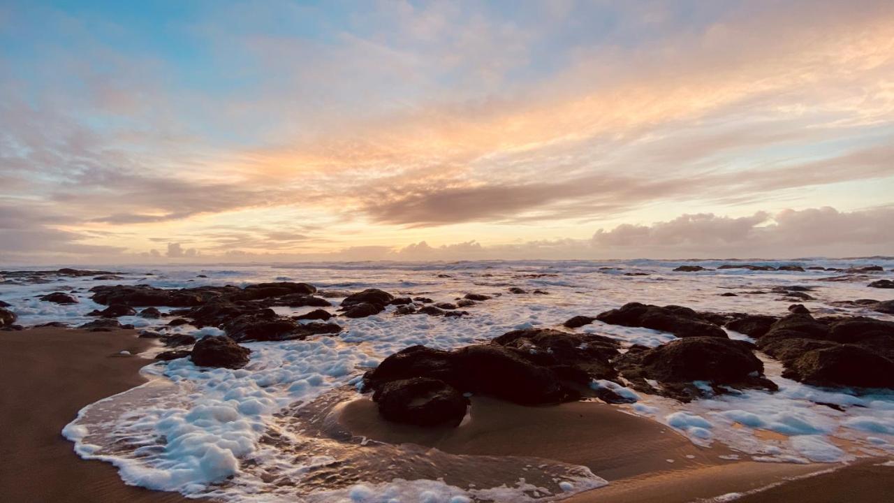 Seahorse Oceanfront Lodging Lincoln City Bagian luar foto